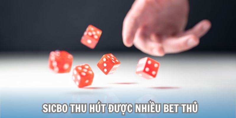 Sicbo thu hút được nhiều bet thủ